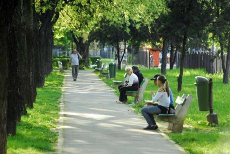 Poftiţi la muncă! Primăria pregăteşte licitaţiile pentru întreţinerea şi amenajarea parcurilor şi zonelor verzi din oraş